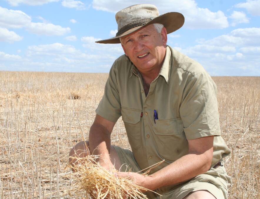 Gary McGill, PGA Western Grain Growers chairman, says much of Western Australia's grain belt is in good condition following heavy June rain.