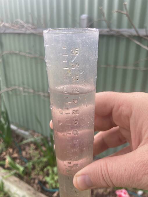 Rainfall in excess of 20mm in parts of the Mallee has revived ailing yield prospects.