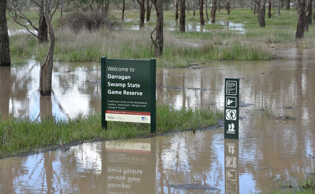 Many swamps and rivers in southern Australia received their best top-up in years, courtesy of above-average rainfall. Photo: Gregor Heard.