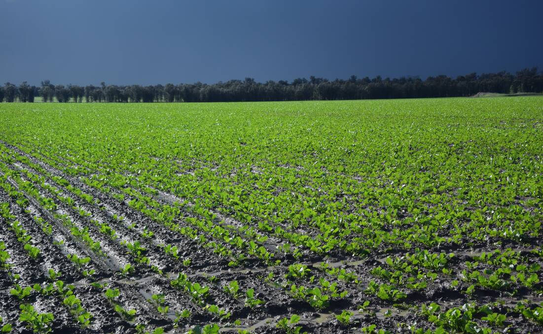 Farmers across Australia are hoping for a return to wet conditions in autumn.