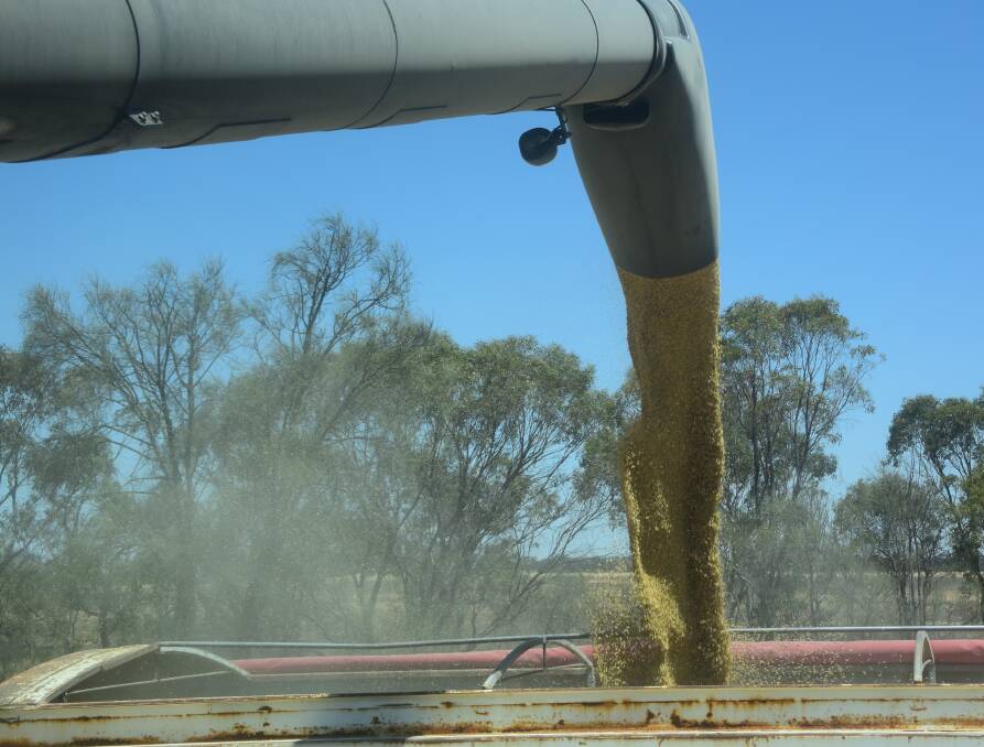 Barley yields have been better than expected in NSW.