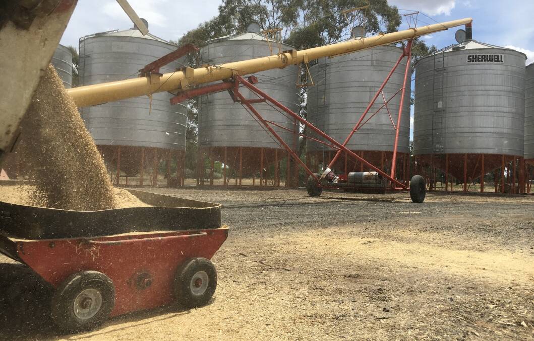 Farmers with suitable storage equipment can safely take off high moisture grain according to the GRDC, but they need to work fast to reduce risk.