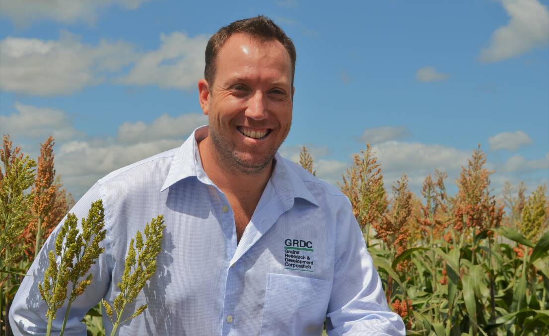 GEARING UP: Arthur Gearon, Chinchilla is the new GRDC northern panel chair.