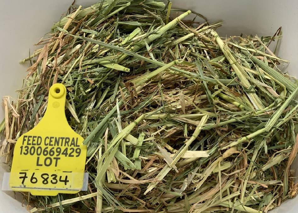 Feed Central reported markedly higher visual assessments for hay this season compared to last year. Photo courtesy of Feed Central.