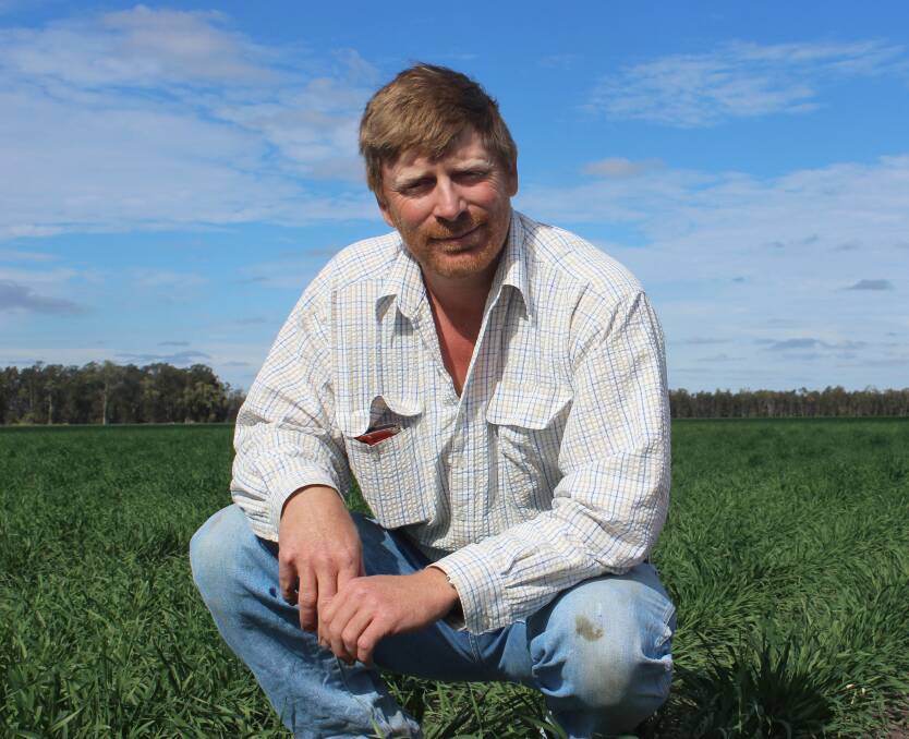 Brendan Taylor, AgForce grains president, says weekend falls have transformed Queensland winter crop prospects. 