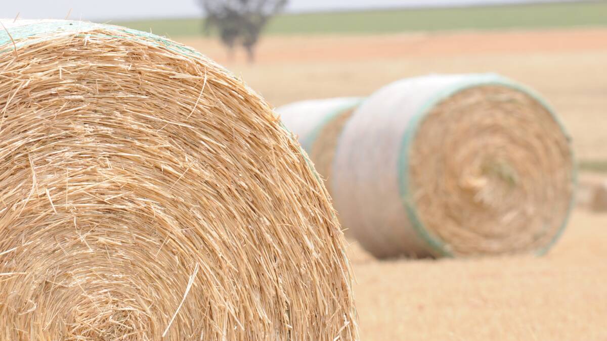Hay is an increasingly popular crop rotation for grain farmers.