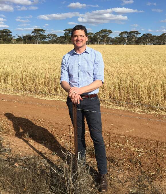 SLOW DOWN: Nathan Cattle, CGX managing director, says growers can maximise returns with a slower sales program to allow exporters to compete when they are able to process the grain through ports.