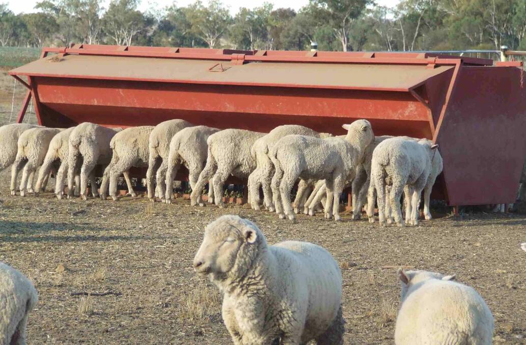 The rising dollar will make it tougher for Australian meat exporters.
