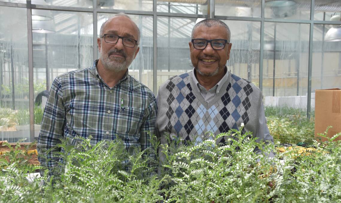Oussama El Gharras and Mohammed El Mourid, both involved in the Conservation Agriculture North Africa (CANA) project, at ICARDA's Rabat headquarters last month. 