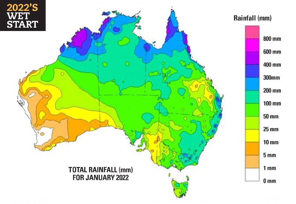 There has been good rain over many parts of Australia's grain belt through January. Map courtesy of the Bureau of Meteorology.