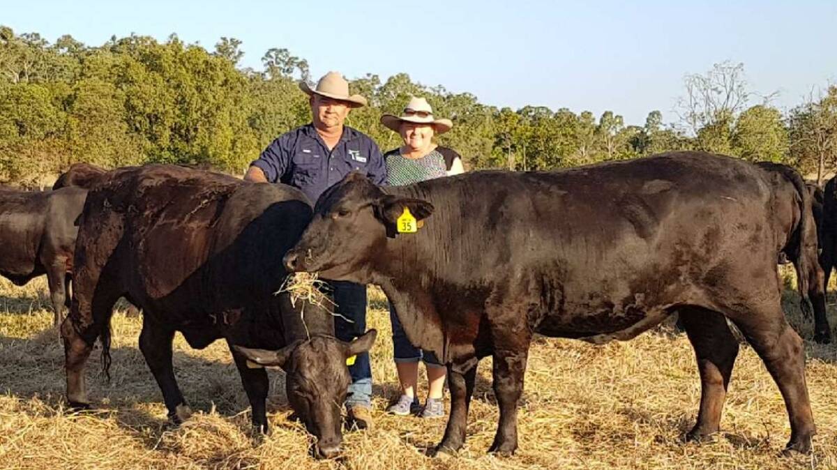 Beautiful pair: Rod and Wendy Streeter, Rowen Beef, Lanton Park, with two of the three heifers they purchased from Oakland Brangus at the 2016 ABCA Rockhampton Brangus Sale, for use in their F1 production program.