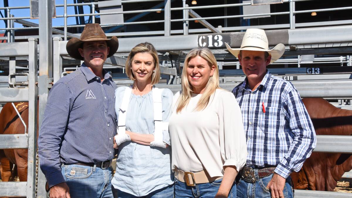 Mac and Gayle Shann, Lamont stud, Cantaur Park, Clermont, with Kylie Graham and Mat Durkin, Mungalla stud, Farnham, Taroom, will offer 138 Droughtmaster bulls at the 21st annual MAGS Sale on Friday, November 11.