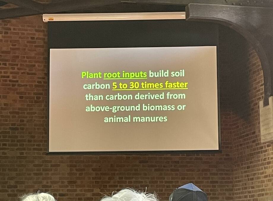 Plants are critical to building the health of soil.