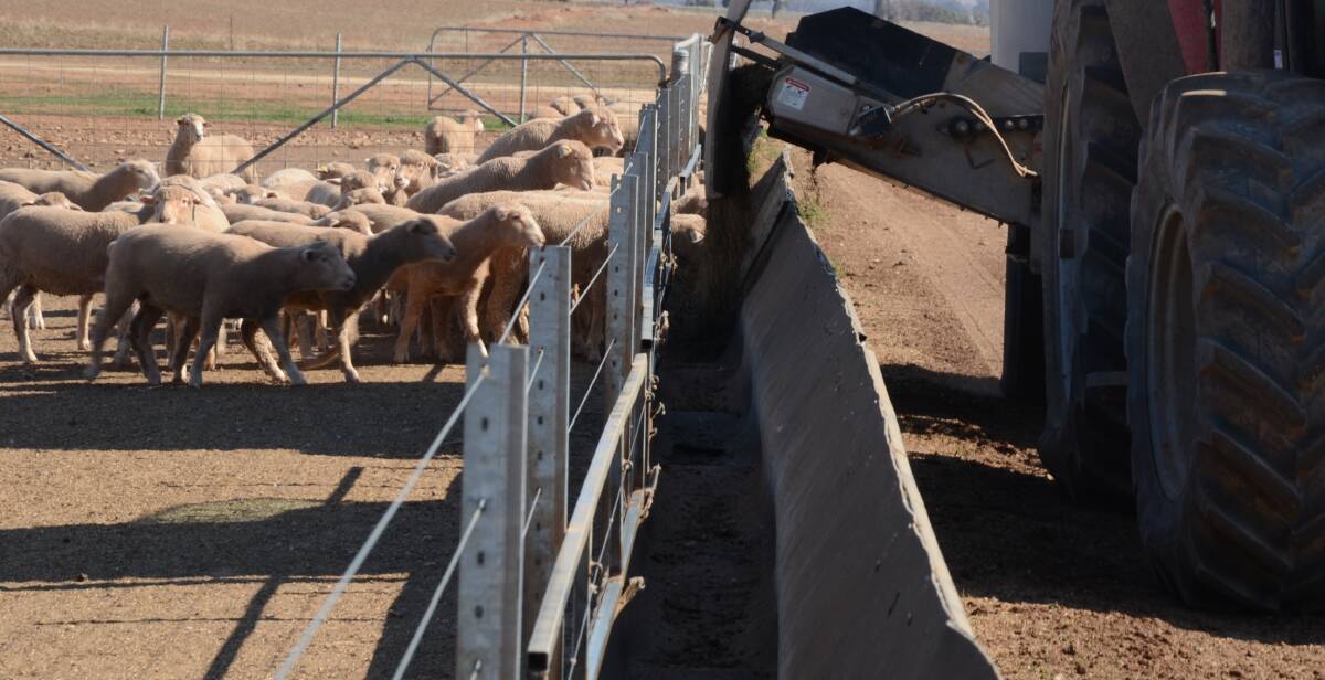 ProAgni's products are designed to lift livestock productivity without the use of antibiotics and ionophores, while lowering methane emissions. 