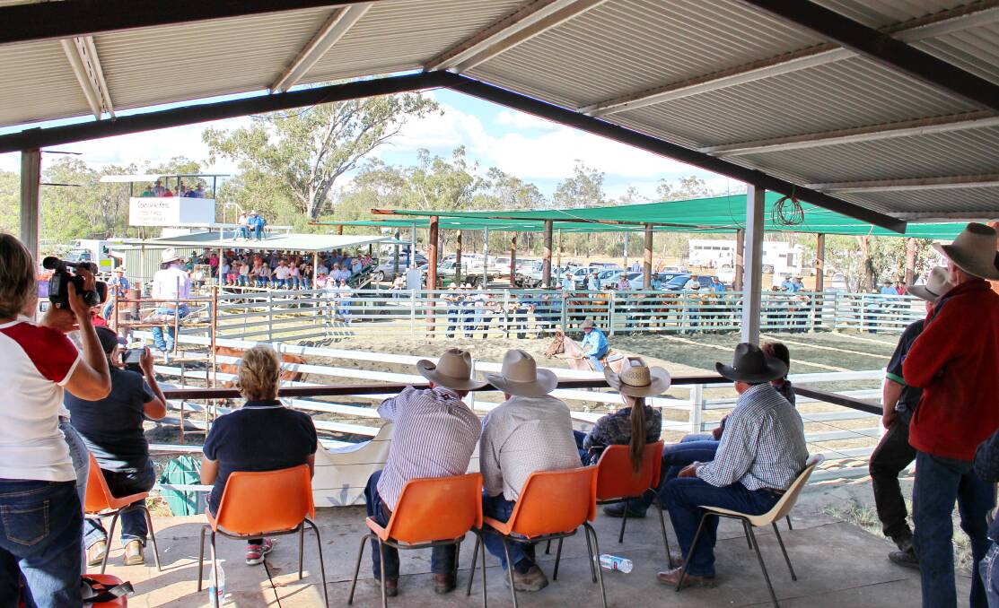 A big crowd is expected for the 2016 Condamine Campdraft across the weekend of October 14,15, and 16. Spectators can watch the best riders in Australia.