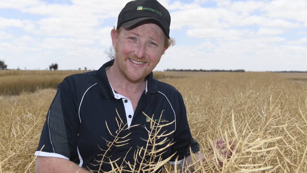 Western AG research and technical services manager James Jess said growers in his client group and beyond have used a double paraquat application to great effect this year and avoided a very serious blow-out of glyphosate resistant annual ryegrass.