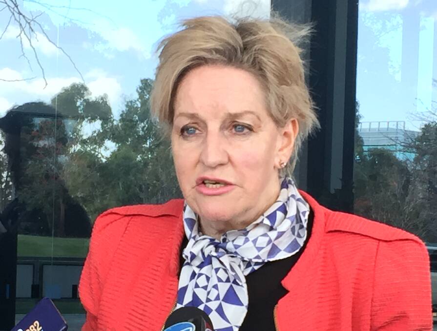 Agriculture and Food Minister Alannah MacTiernan said the Western Australian state government had contributed $44,000 to the cost of developing a plan for the local dairy industry and was providing a DPIRD officer to assist.