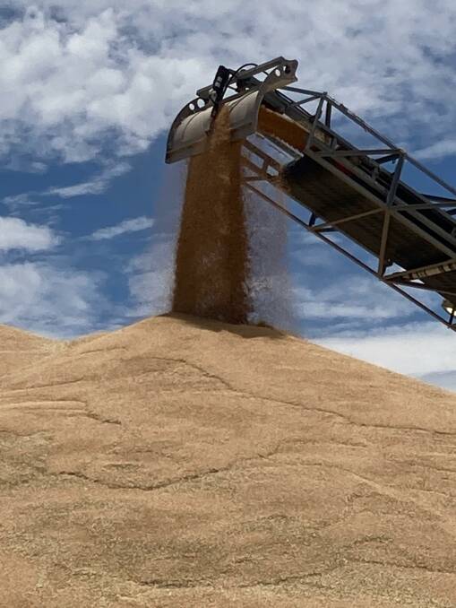 There were some surprises to emerge from the latest US Department of Agriculture world grain supply and demand report.