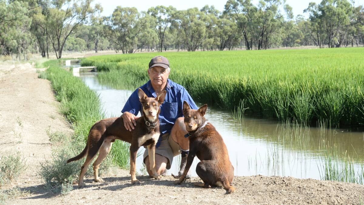 MISLEADING CLAIMS: Southern Riverina irrigator John Lolicato says misleading claims are being made about the Barmah Choke.