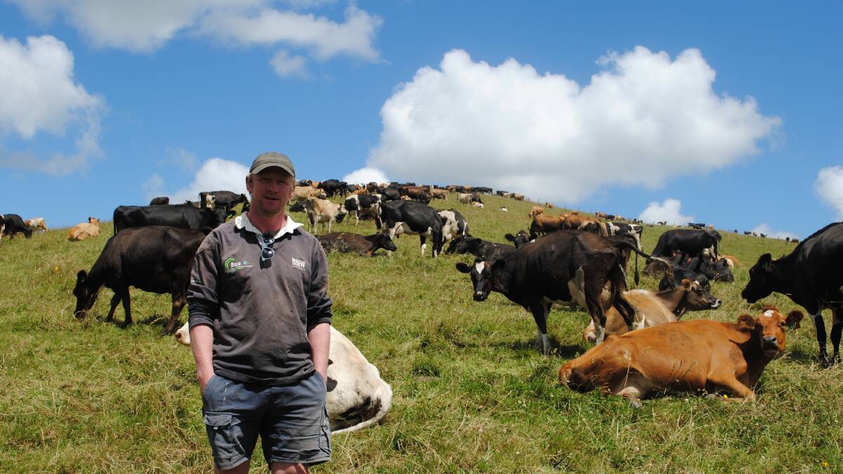 Moyarra, Vic, farmer Brian Corr intends milking a herd of 600 crossbreds this year. Picture by Barry Murphy