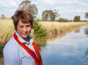SHEED INVITATION: Shepparton Independent MP Suzanna Sheed has invited the new federal water minister to visit northern Victoria, to discuss the Murray Darling Basin Plan.
