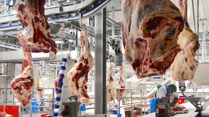 NEW RESEARCH: New research at the Tonnies meat processing complex, Germany, has shed more light on the spread of coronavirus in abattoirs.