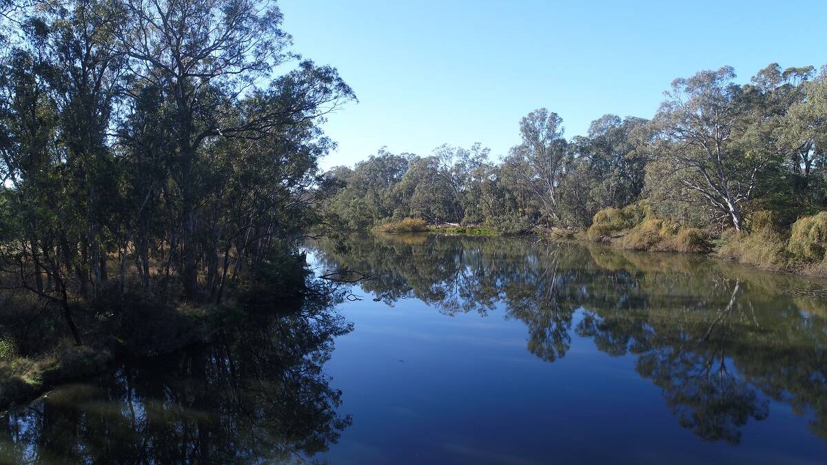 PROTECTION: Moves to introduce variable flows in the Goulburn River during the peak summer period would secure the long-term health of the river.