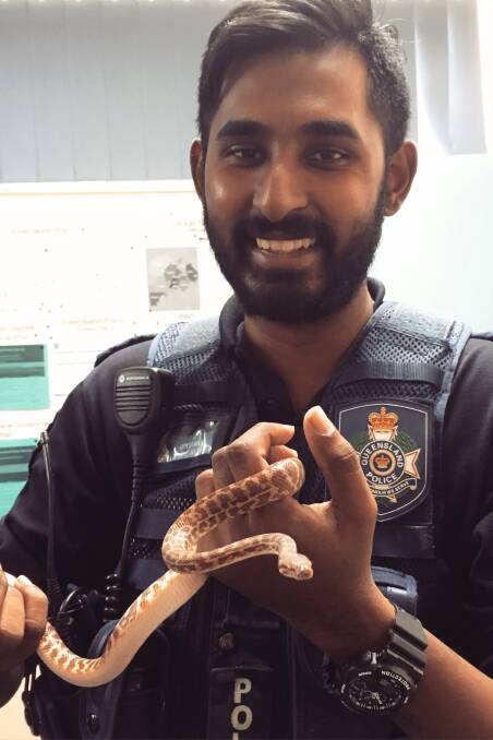 Constable Chris Kumar with a small python seized at Blackall in 2016. Photo - Police Media.