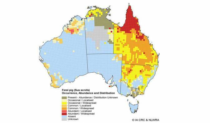 An IA CRC and NLWRA map showing where feral pigs are found in Australia.