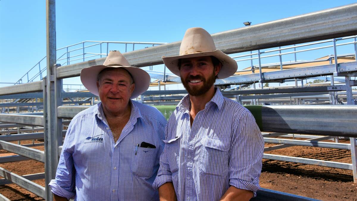 Veteran MLA livestock market officer Trevor Hess and new recruit Sam Hart, who will be based at Blackall, working at the Roma store sale on Tuesday. Picture - Hayley Kennedy.