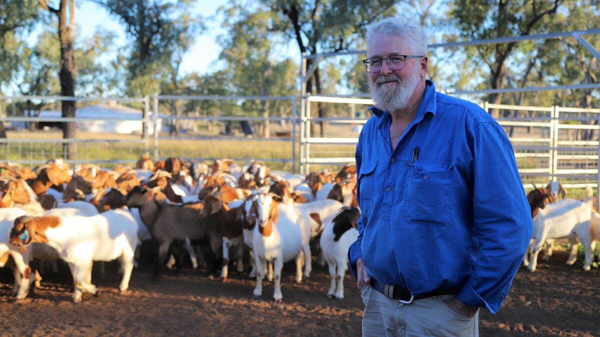 Bruce Foott, Barta Park, Mitchell says electronic tags will give the goat industry street cred as an emerging viable industry. Picture: Sally Gall