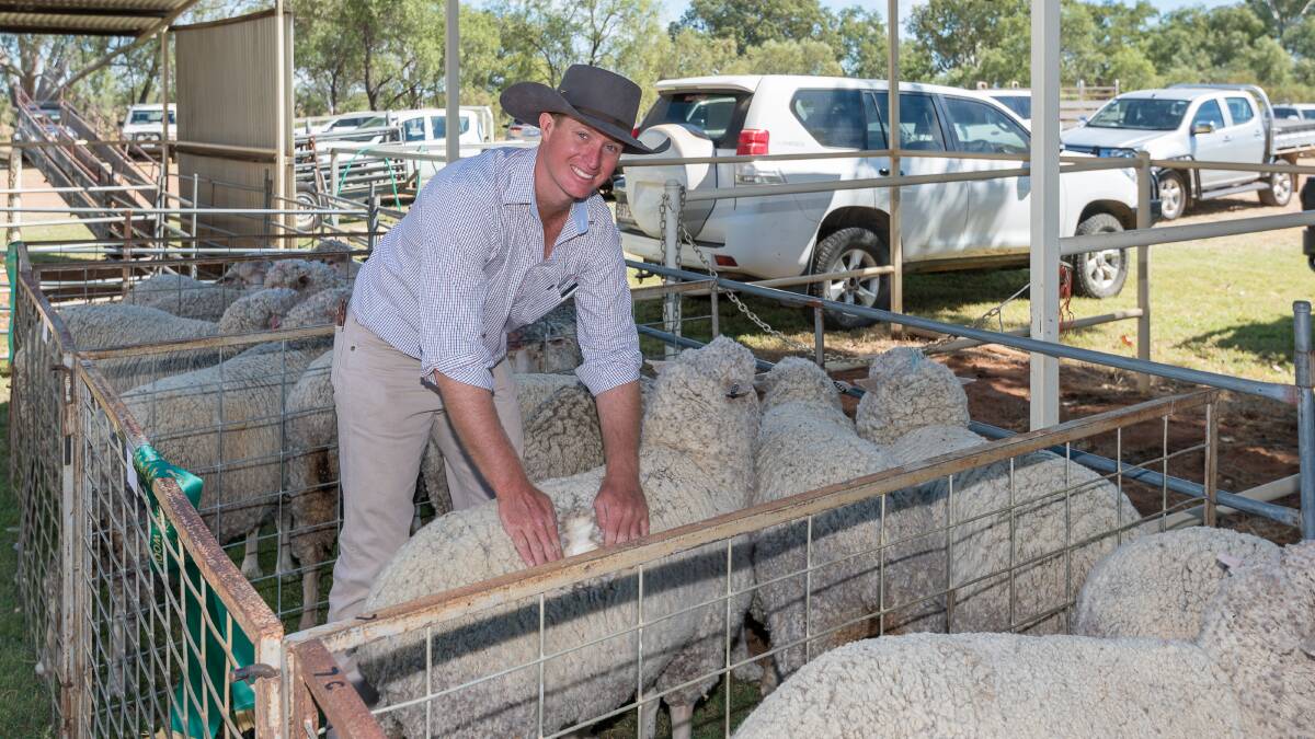 Lansdowne's Chris Turnbull inspecting sheep at a show. Picture: Bushshutterman Photography 
