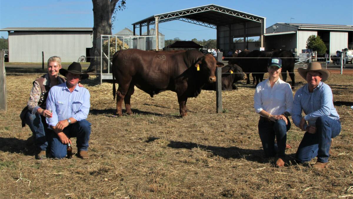 Vendors Jeanne Seifert and Ian Stark with the sale's top priced bull, and buyers Trudy and Lachlan Mace, who outlaid $32,000. Photo: Sally Gall