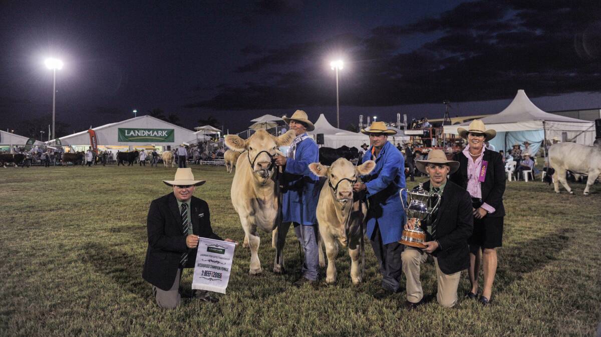 Beef Australia 2018 female interbreed champion, Moongool Typhena 9, pictured with Mark Scholes, Landmark, stud principal Ivan Price, Lonnie Stone, judge Donna Robson, and Landmark general manager, Rob Clayton. Picture - Kelly Butterworth.