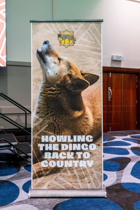 One of the messages from the inaugural First Nations dingo forum. Picture: Harry Vincent