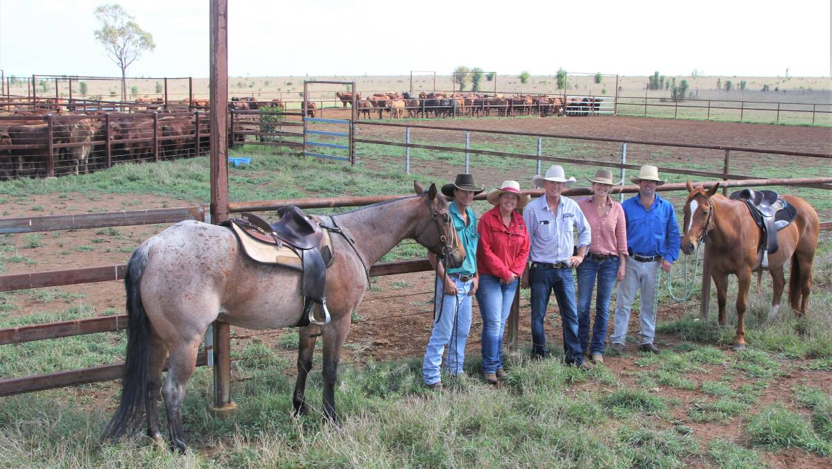 The Dawsonvale team take a break from mustering and loading the mob - managers Peter and Jackie Hill, James and Sarah Pearson, and Toby Kehl, Taroom.