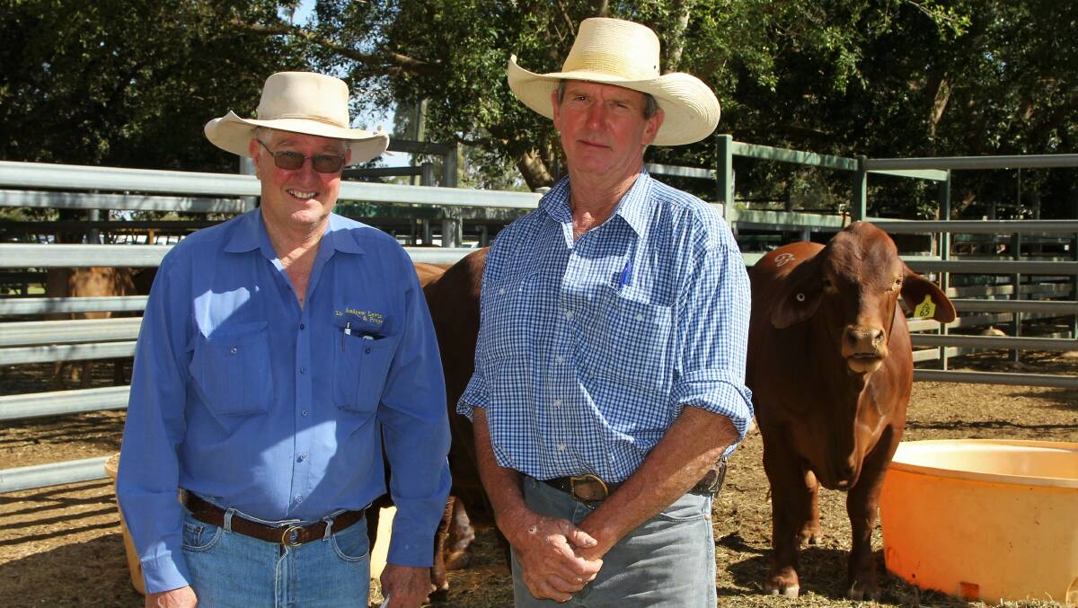 Emerald livestock agent Andrew Lewis with Fred Peters, Arcturus Downs, Springsure, the sale's volume buyer.