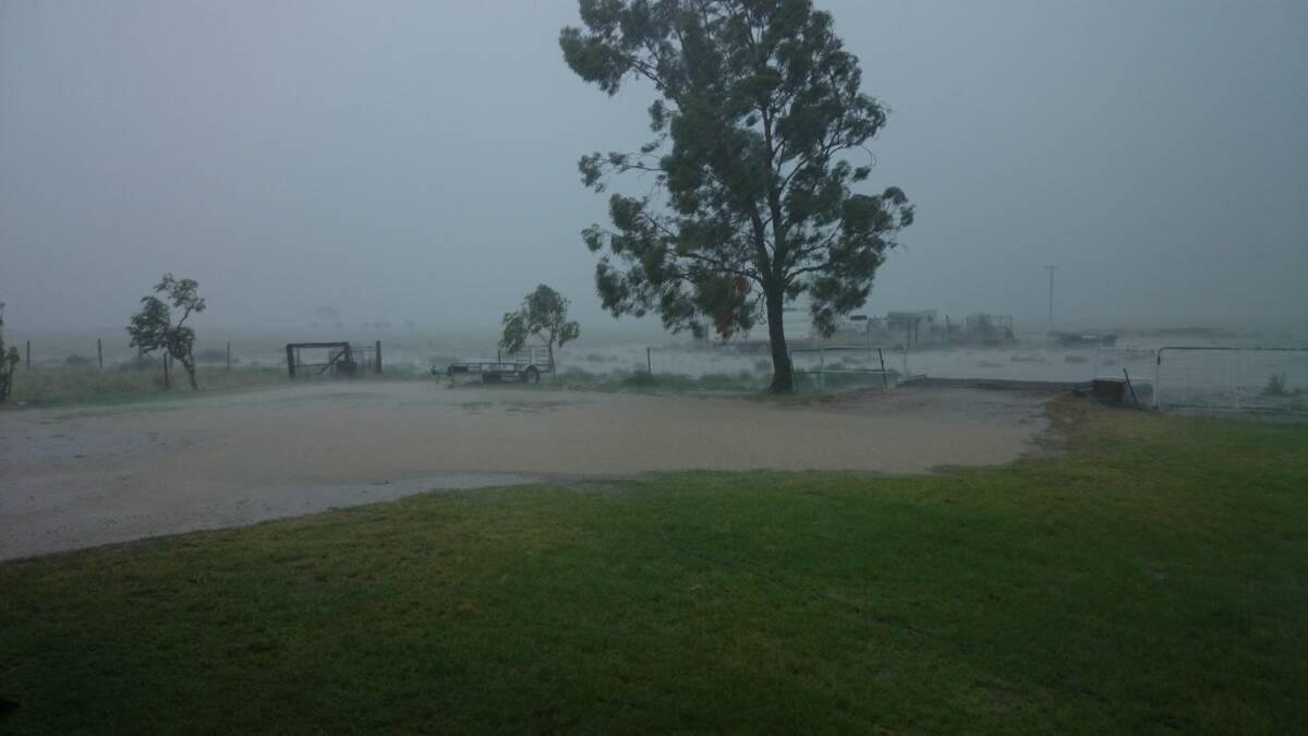 Sheets: The 55mm downpour in full swing on Saturday morning at Parklane, Blackall. Picture: Sarah Steer.