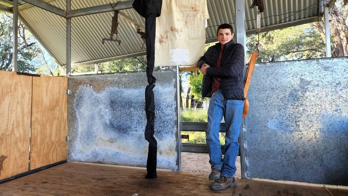 Marshall Baillie gets to practise his shearing at home at Douglas Park, Blackall on the single stand board. Picture: Sally Gall