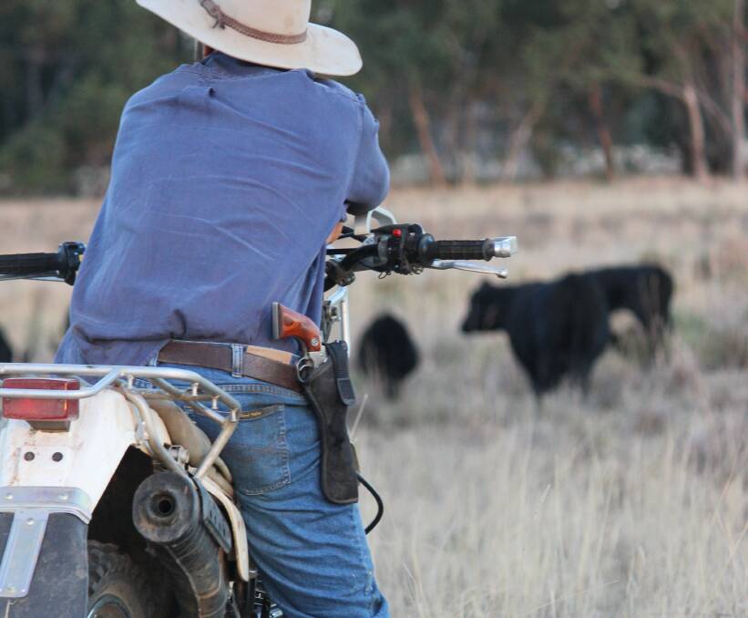 Safety first: Primary producers say they are responsible handgun owners, not 'cowboys' as labelled by state Police Minister Bill Byrne. Picture: Penelope Arthur.