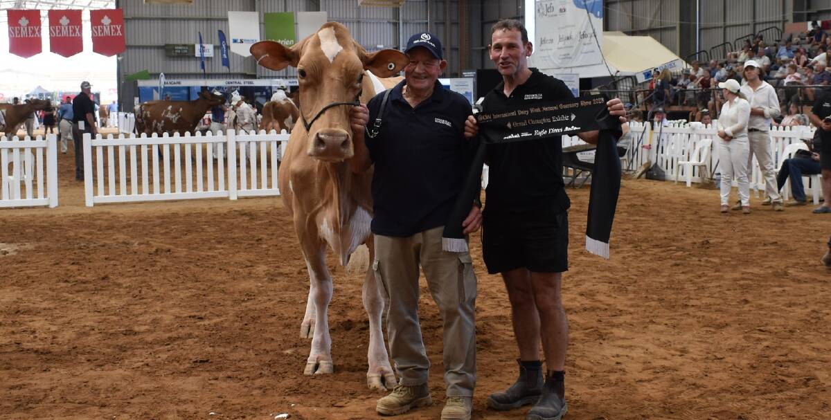 The 2023 International Dairy Week grand champion Guernsey, Kerrilyn Pistoll Peach, with owners Neville and Simon Wilkie, Bacchus Marsh, Vic. Picture by Alastair Dowie