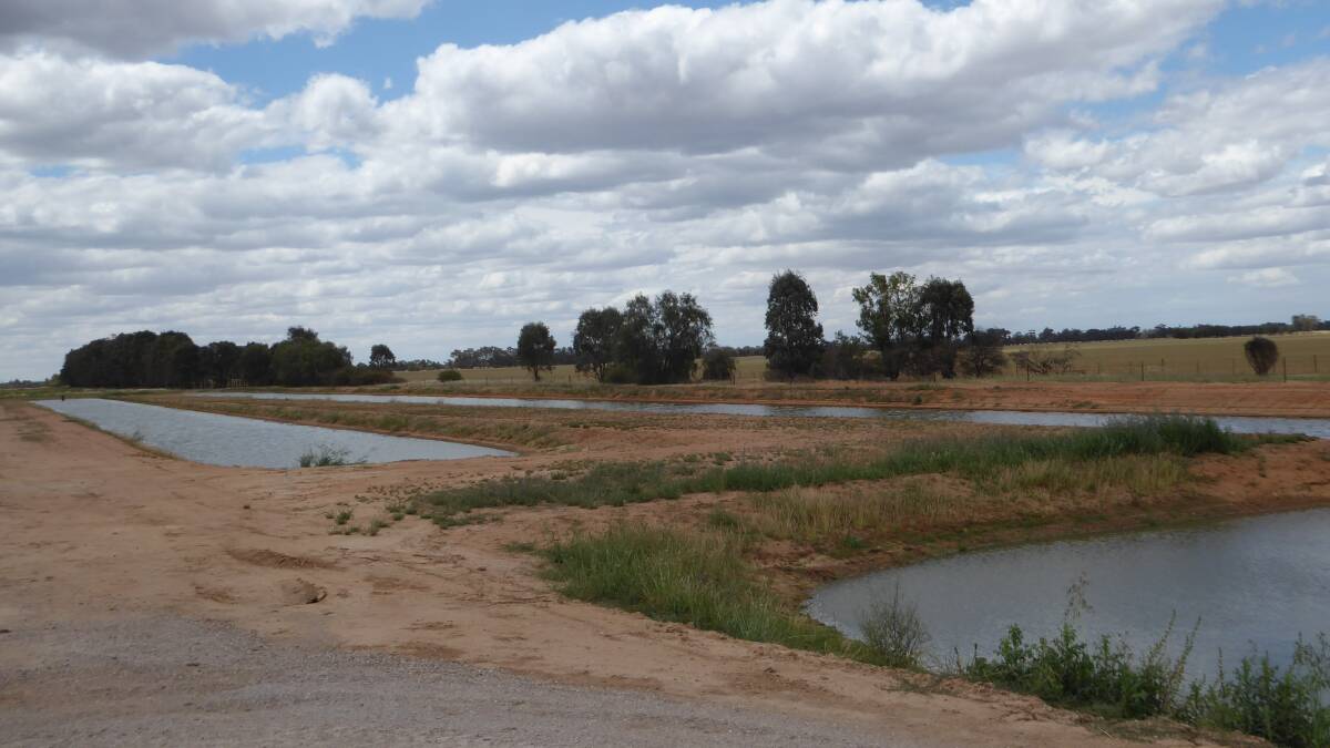 GOOD DESIGN: Effluent ponds are often used as they are the most cost-effective option.