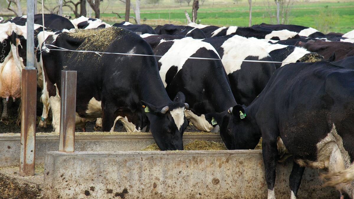 TRACKING COSTS: The feed margin is calculated by taking the costs of feed to produce milk (grown feed and purchased feed) from the income received for the milk.