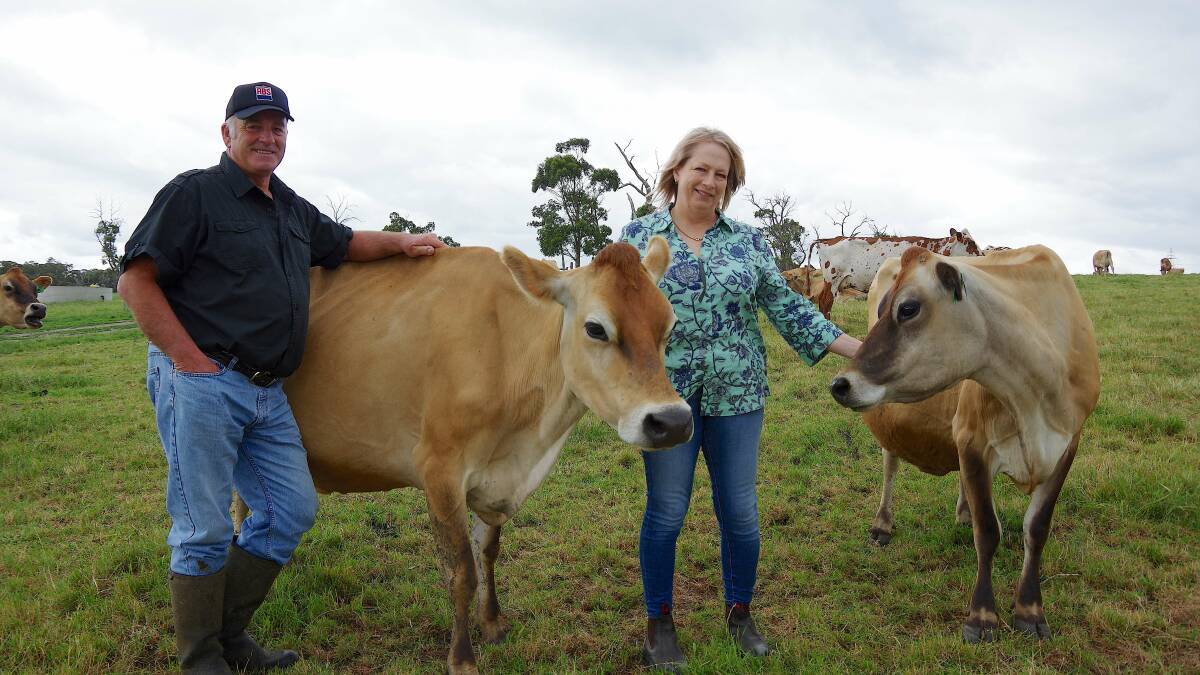 DUAL FOCUS: Trevor Saunders and Anthea Day with Vanahlem Astor and Tarank Mittens. All cows in the milking herd are registered and genomically tested.