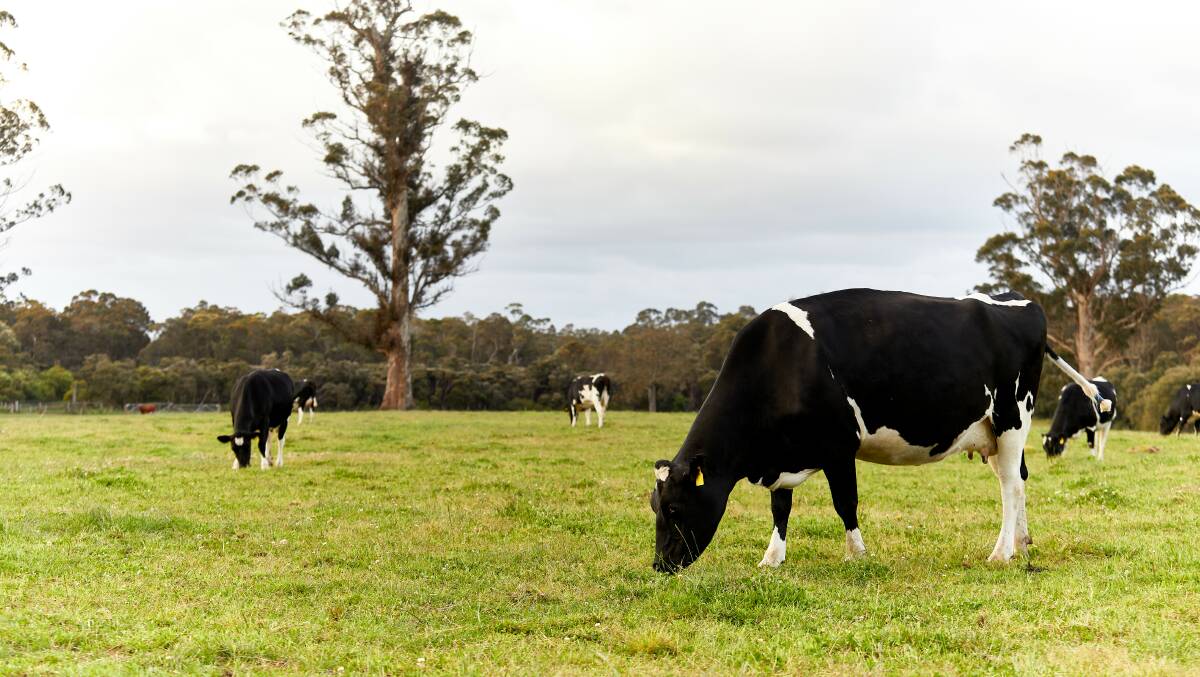 An image that was profiled in an advertorial for the Dairy Matters campaign 'Our Dairy Promise'. Picture supplied by Dairy Australia 