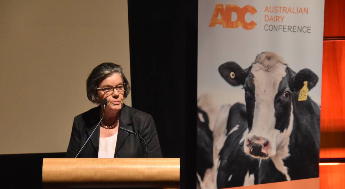 Cathy McGowan challenges delegates at the Australian Dairy Conference to ask themselves some hard questions about their industry organisations. Picture by Carlene Dowie