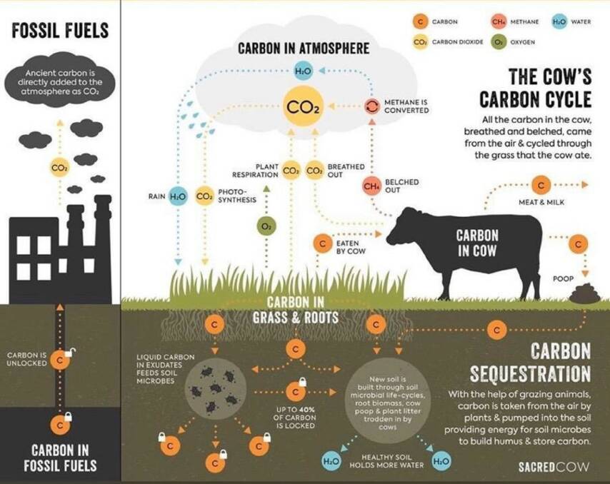 Professor Frank Mitloehner presented this graphic at the Australian Dairy Conference from sustainabledishsacredcow.info to show the difference between fossil and biogenic carbon. Picture supplied 