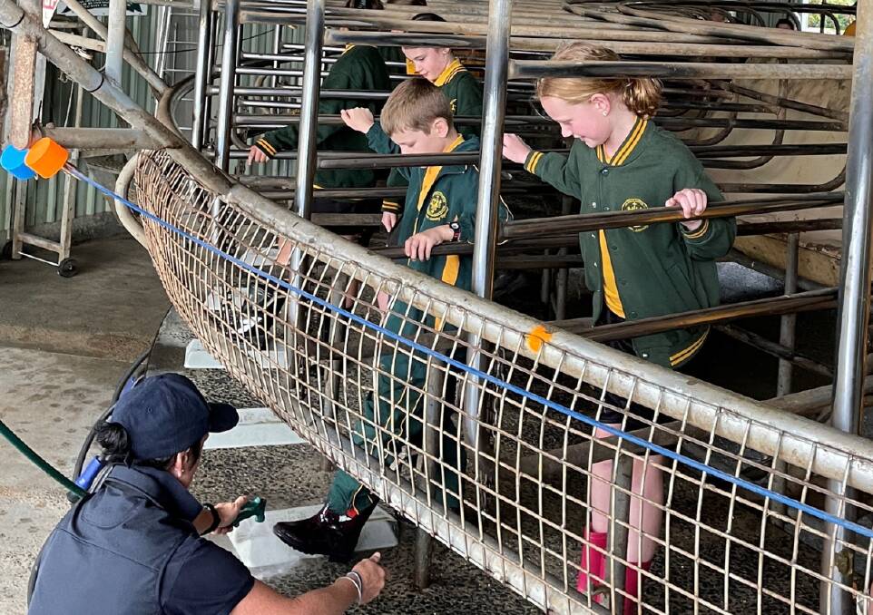 Grade 3/4 students from Immaculate Heart of Mary School, Newborough, Vic, spend a day visiting Matt and Nadine Gleesons' farm, as part of a term-long project into the dairy industry. Picture supplied