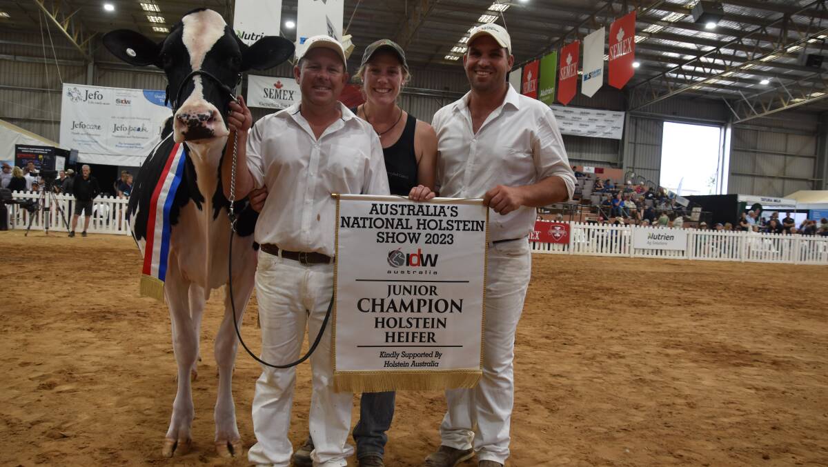 The 2023 International Dairy Week junior champion interbreed heifer Eclipse Perennial C Princess with owner Brad and Jess Gavenlock and Murray Polson, after she won the junior champion Holstein award. Picture by Carlene Dowie