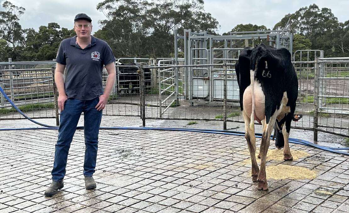Timboon, Vic, dairy farmer Jason Smith with a daughter of Pine-Tree Huron, the top bull on the August Australian Breeding Value proven Balanced Performance Index list. Picture supplied
